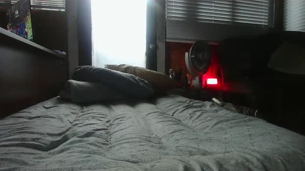 Bigtoyguy34 show Webcam SHOW @ Cam4 02-02-2026