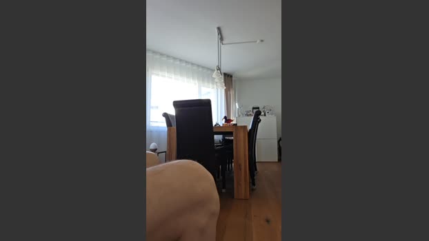 herkules6404 toy Webcam SHOW @ Cam4 02-02-2026