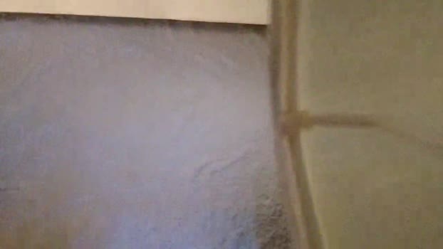 Geile_Balkane bigdick Webcam SHOW @ Cam4 02-02-2026