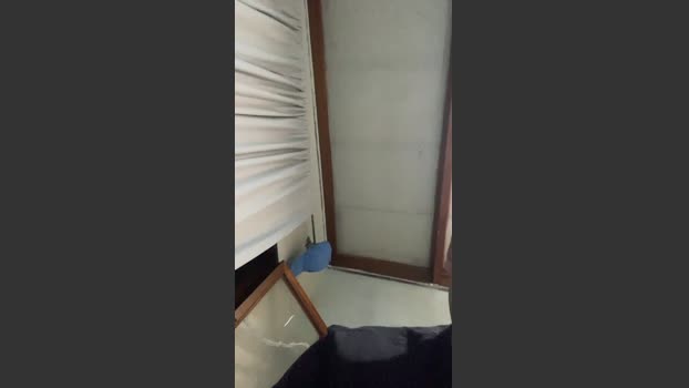 Ignatwink sex Webcam SHOW @ Cam4 03-02-2026