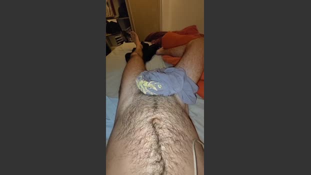 frenchyhothairy toys Webcam SHOW @ Cam4 04-02-2026
