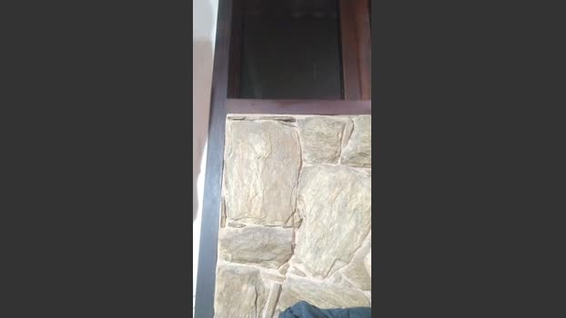 daniel3525 analsex Webcam SHOW @ Cam4 09-02-2026