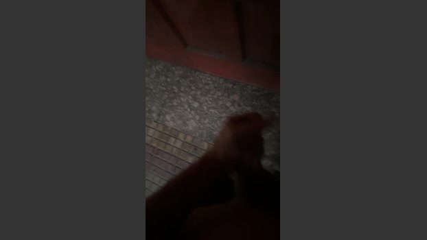ricapijatecedo1 jackoff Webcam SHOW @ Cam4 09-02-2026