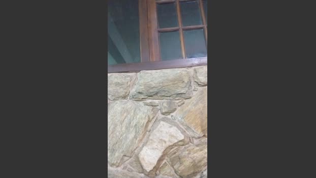 daniel3525 suck Webcam SHOW @ Cam4 10-02-2026