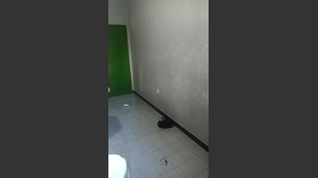 kciam handsome Webcam SHOW @ Cam4 10-02-2026