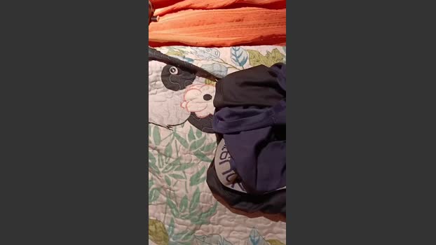 lokohelios1 fuckass Webcam SHOW @ Cam4 10-02-2026
