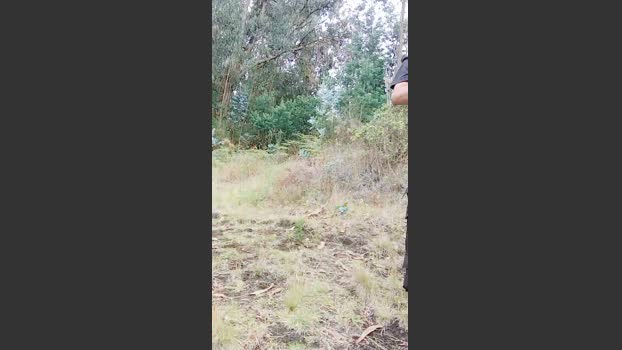 _noahdiaz dirty Webcam SHOW @ Cam4 10-02-2026