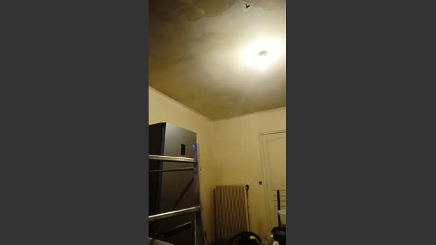 Dickwolf91 beauty Webcam SHOW @ Cam4 13-02-2026