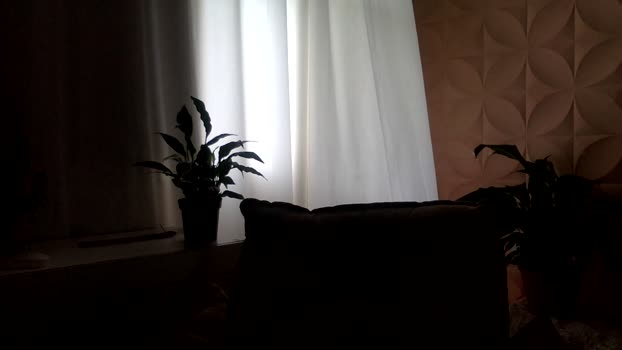DanWolfMan suck Webcam SHOW @ Cam4 14-02-2026