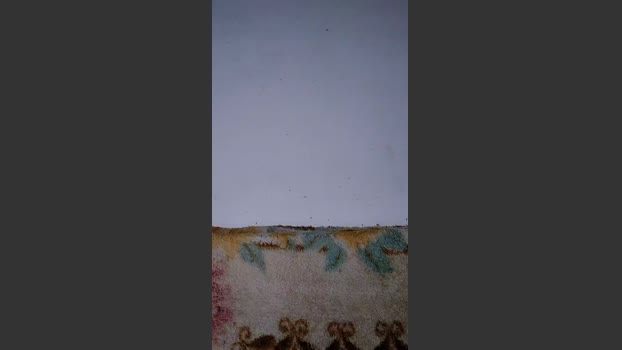 Nomi270 hardcock Webcam SHOW @ Cam4 14-02-2026