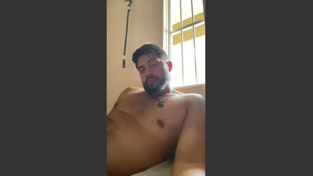 GregoMartins toy Webcam SHOW @ Cam4 15-02-2026