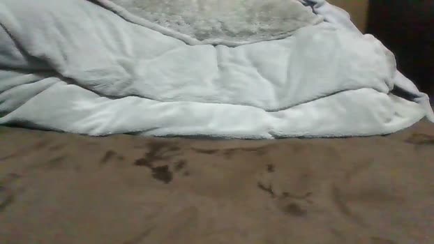 gryphon5 sex Webcam SHOW @ Cam4 15-02-2026