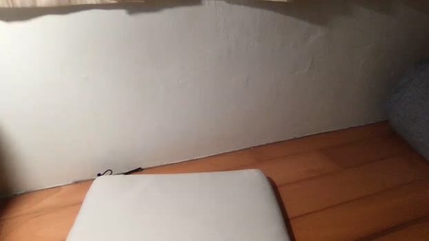 nivok_1 Video Webcam SHOW @ Cam4 16-02-2026