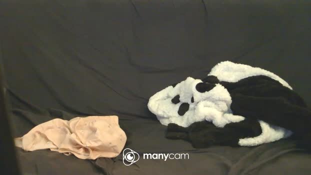 yoke XXX Webcam SHOW @ Cam4 16-02-2026
