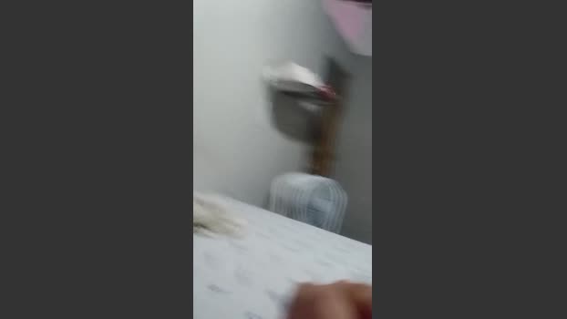 Carlossoares202 sexy Webcam SHOW @ Cam4 17-02-2026