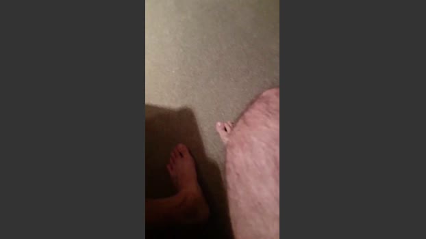 porongalargo wank Webcam SHOW @ Cam4 17-02-2026