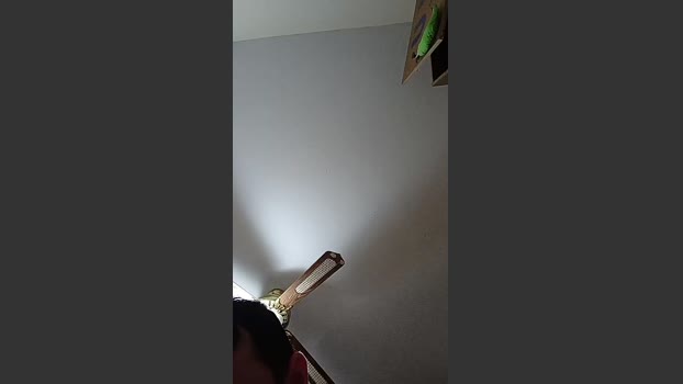 Vasgabri07 bicurious Webcam SHOW @ Cam4 17-02-2026