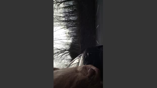 HUMPSTER2234 analsex Webcam SHOW @ Cam4 18-02-2026