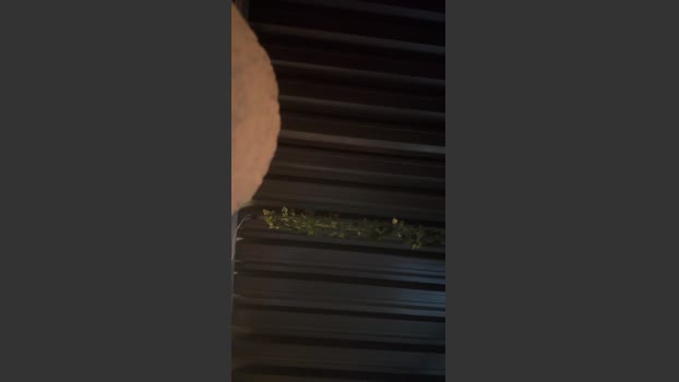 Mariokurt horny Webcam SHOW @ Cam4 18-02-2026