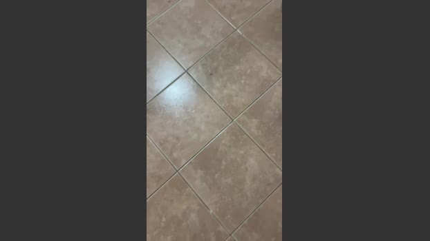 Bullnapol Porn Webcam SHOW @ Cam4 20-02-2026
