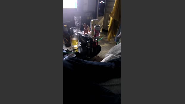 Javierxzpu jerking Webcam SHOW @ Cam4 21-02-2026