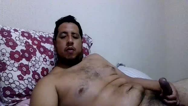 PandaT22
