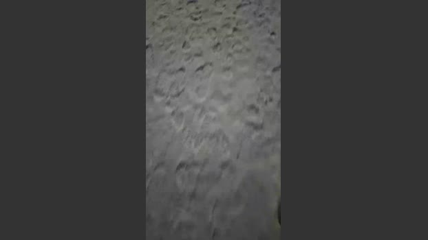 likescock5 Nude Webcam SHOW @ Cam4 20-02-2026