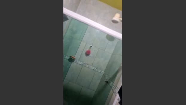 feliperj2_hot suckcock Webcam SHOW @ Cam4 22-02-2026