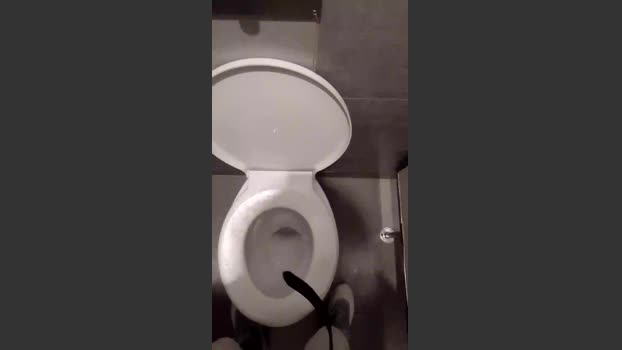 elmorocho26 jerkoff Webcam SHOW @ Cam4 25-02-2026