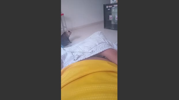 hardsexlove08 playtime Webcam SHOW @ Cam4 24-02-2026