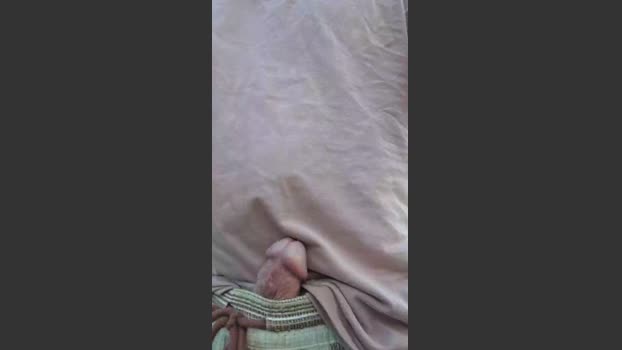 porobellocrown squirt Webcam SHOW @ Cam4 24-02-2026
