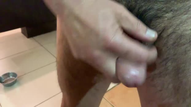 hornymexguy gag Webcam SHOW @ Cam4 26-02-2026