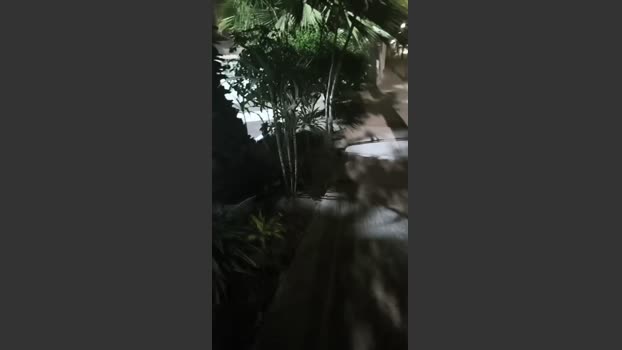 powerstrip238 suckcock Webcam SHOW @ Cam4 26-02-2026