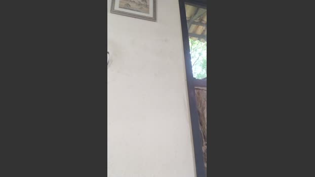 daniel3525 kissing Webcam SHOW @ Cam4 27-02-2026