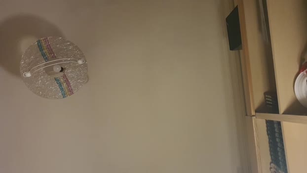 scrocchia84 suckcock Webcam SHOW @ Cam4 27-02-2026