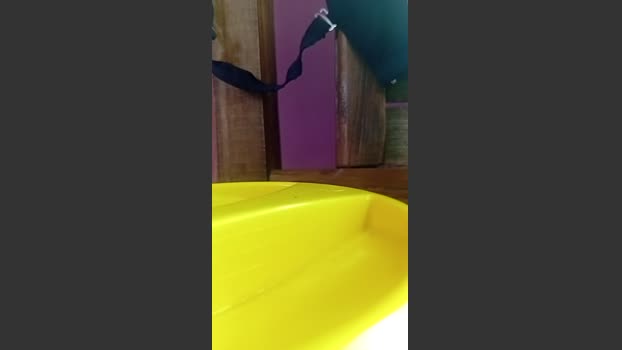 Pisspoopigpsir hard Webcam SHOW @ Cam4 28-02-2026