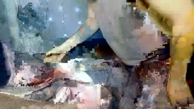 mikiien show Webcam SHOW @ Cam4 02-03-2026