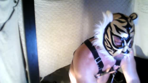 ken_mass analsex Webcam SHOW @ Cam4 03-03-2026
