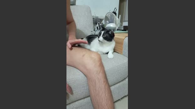 GGgame fuckher Webcam SHOW @ Cam4 06-03-2026