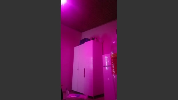 Life4sex juicy Webcam SHOW @ Cam4 07-03-2026