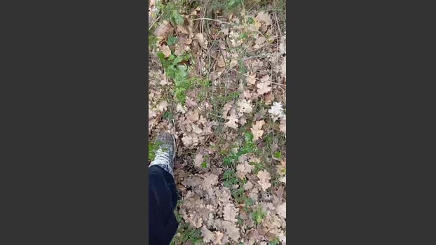Sperma9222 sexyfeet Webcam SHOW @ Cam4 07-03-2026