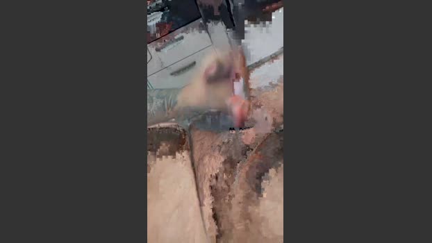 BearFromMao bigcock Webcam SHOW @ Cam4 08-03-2026