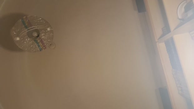 scrocchia84 jackoff Webcam SHOW @ Cam4 08-03-2026