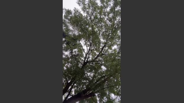 Outdoorsd naughty Webcam SHOW @ Cam4 08-03-2026