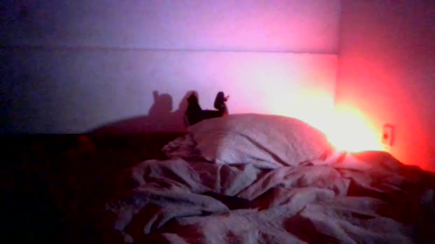 enzo_bllazi horny Webcam SHOW @ Cam4 09-03-2026