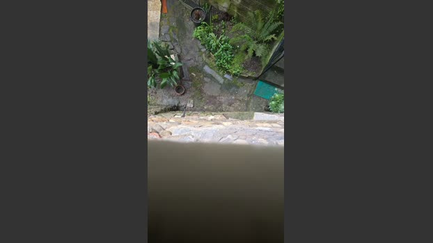 fonzieperver ass Webcam SHOW @ Cam4 10-03-2026