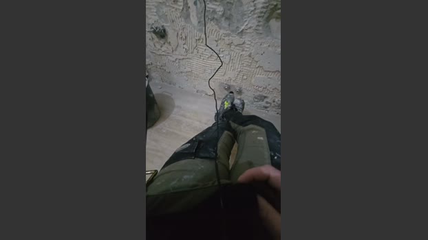 fonzieperver gag Webcam SHOW @ Cam4 10-03-2026