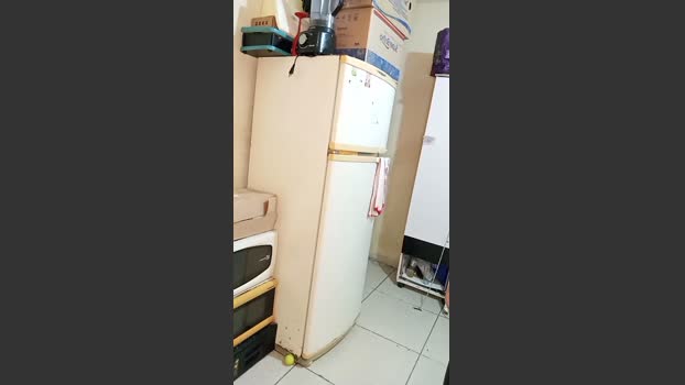 Alk45 ass Webcam SHOW @ Cam4 11-03-2026