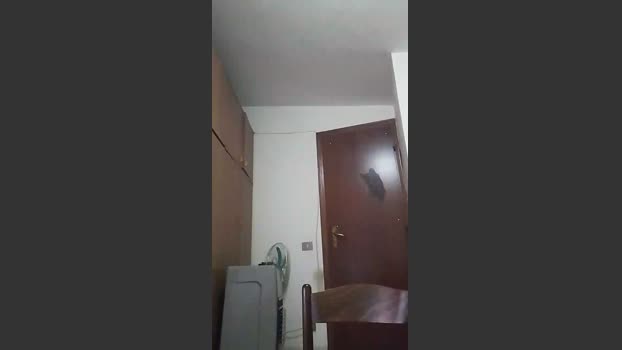 casertaxxx suck Webcam SHOW @ Cam4 11-03-2026