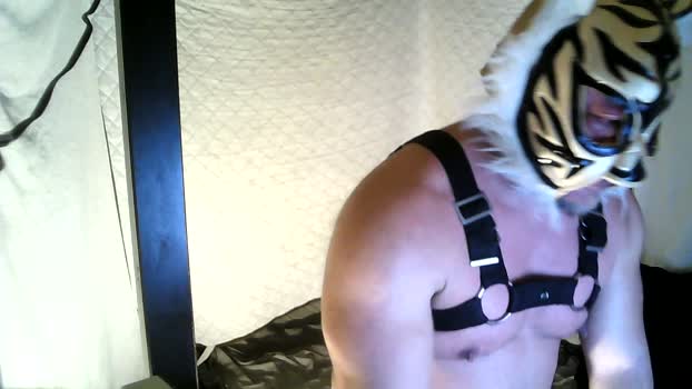 ken_mass fuckher Webcam SHOW @ Cam4 11-03-2026